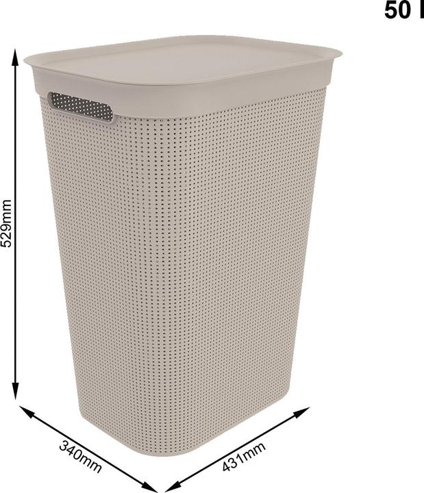 Produktbild Rotho Brisen (50 l)