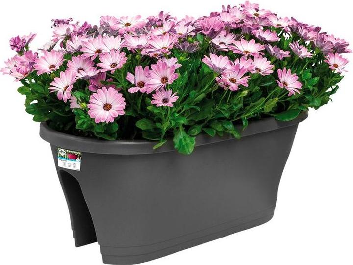 Produktbild Elho Corsica (30 cm)