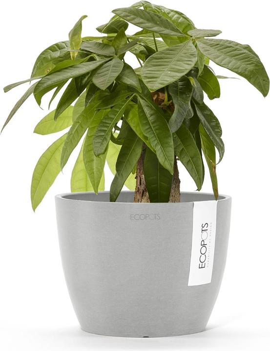 Immagine prodotto Ecopots Stoccolma (16 cm)