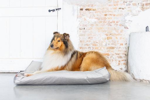 Productafbeelding Designed by Lotte Nalino (Hond)