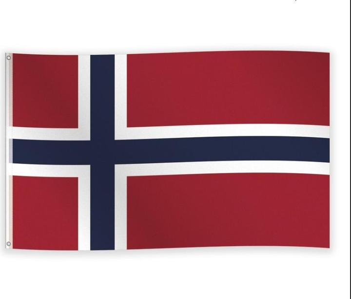 Image du produit Procos Norwegen Flagge