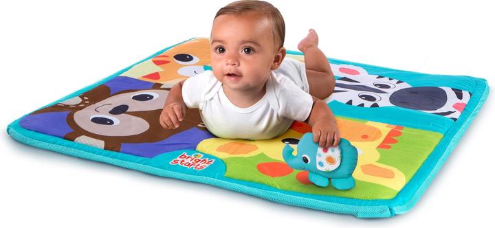 Actual product image Bright Starts Zoo