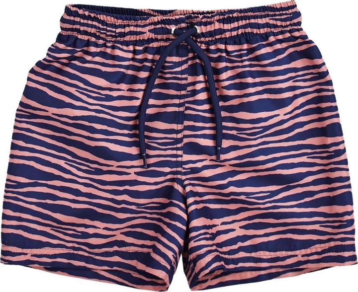 Orange zebra