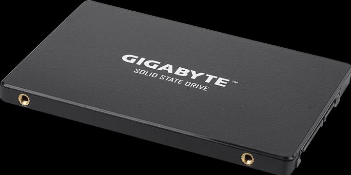 Actual product image Gigabyte GP-GSTFS31256GTND (256 GB, 2.5")