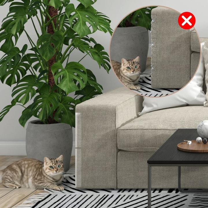Productafbeelding Hermex Krasbescherming Kras-stop anti-krasfolie Kattenmeubelbeschermer Muurbescherming (Kat)