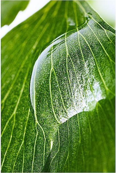 Produktbild Sisley Émulsion Ëcologique Form Avanc (60 ml, Tagescreme)
