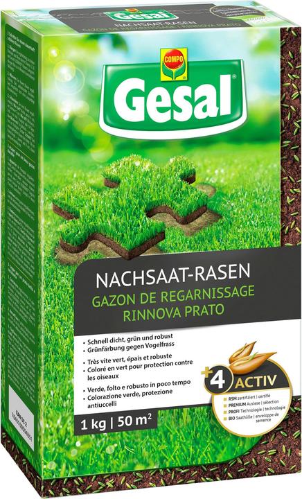 Actual product image Gesal reseed lawn (Lawn reseed)