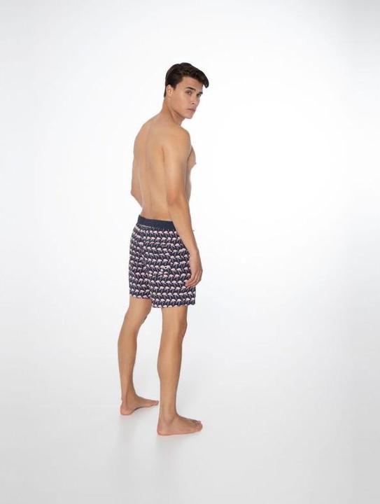 Image du produit Protest Short de plage homme PRTOHLANDER Night SkyBlue S (S)