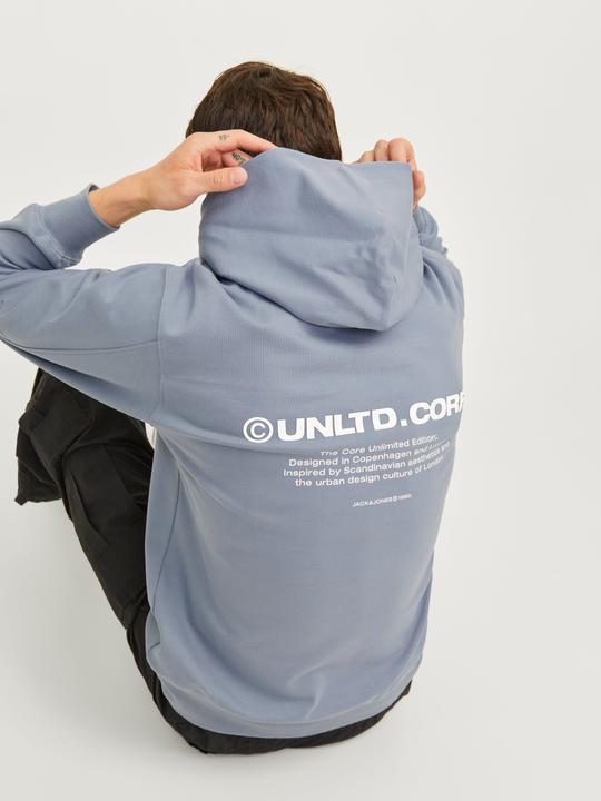 Actual product image Jack & Jones Jcoaero Print Sweat Hood Noos (S)