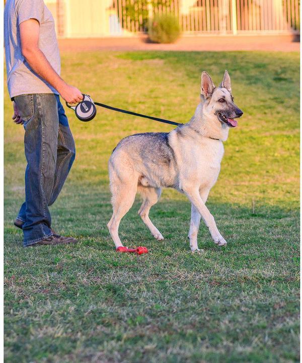 Image du produit KONG Laisse à enrouleur Ultimate (XL, Chien)