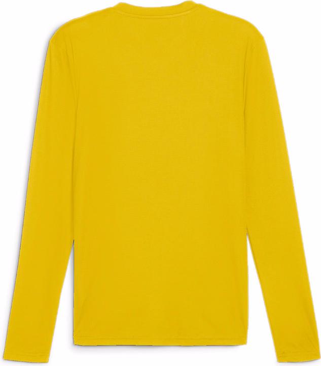 Image du produit Puma teamGOAL Tee de base LS (M)