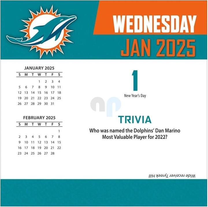 Energie-Label NFL - Miami Dolphins - Boxkalender 2025 (Spanisch, Italienisch, Englisch, Deutsch, Französisch)