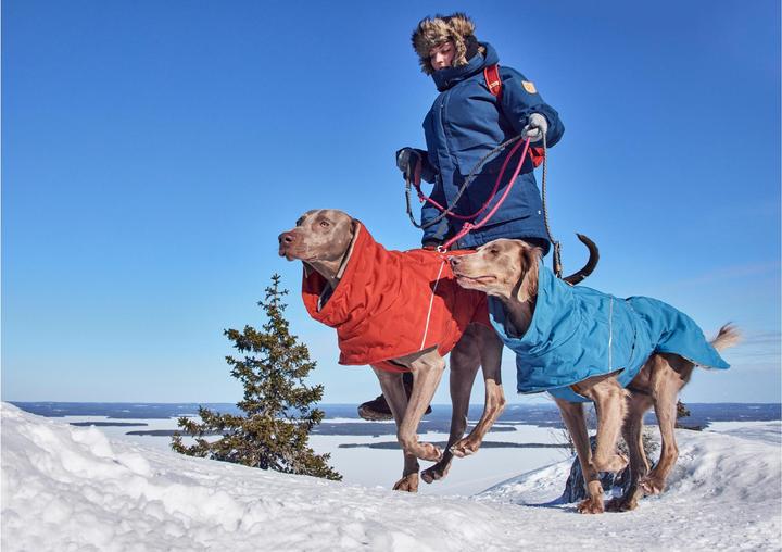 Immagine prodotto Hurtta Extreme Warmer V3 Eco Blue, 55 cm (55, Cappotto per cani)