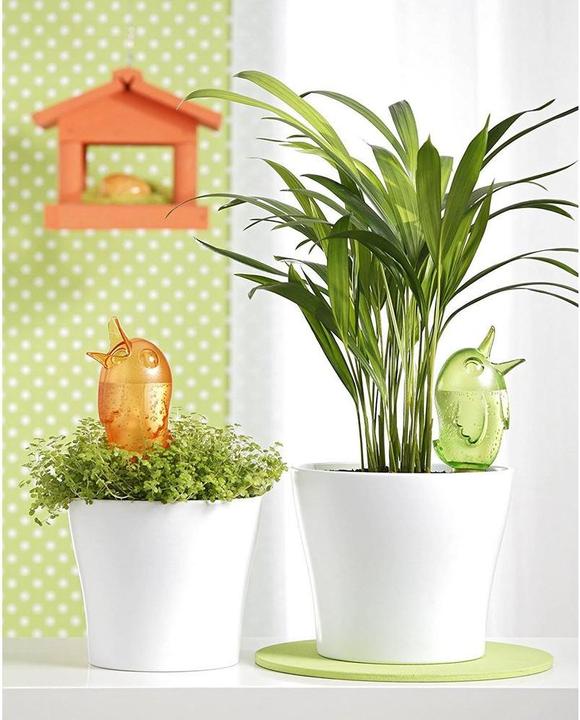 Actual product image Scheurich Bördy M (Clay cone)