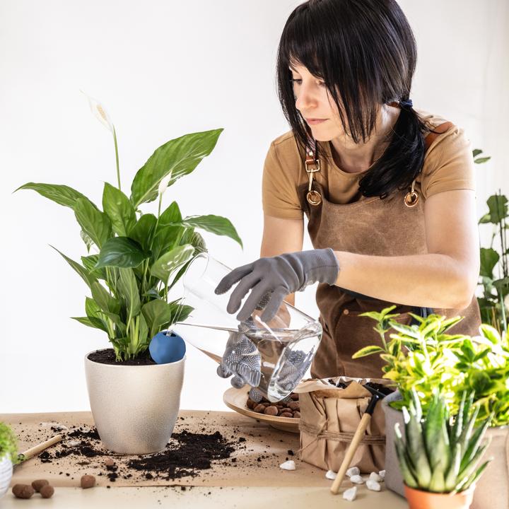 Produktbild Relaxdays Bewässerungskugeln (Bewässerungskugeln)
