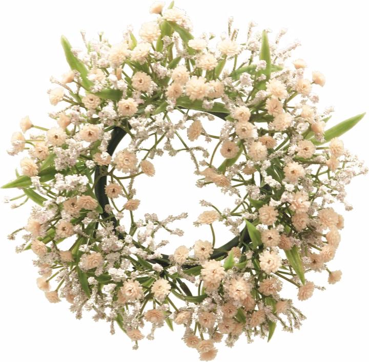 Produktbild Exner Garten und Wohnaccessoires Gypsophila Muralis (1 x)