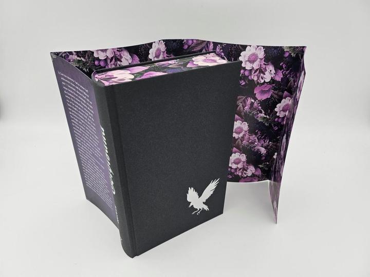 Actual product image Piper Gothikana – Eine Liebe, die alle Regeln bricht (German, RuNyx, 2024)