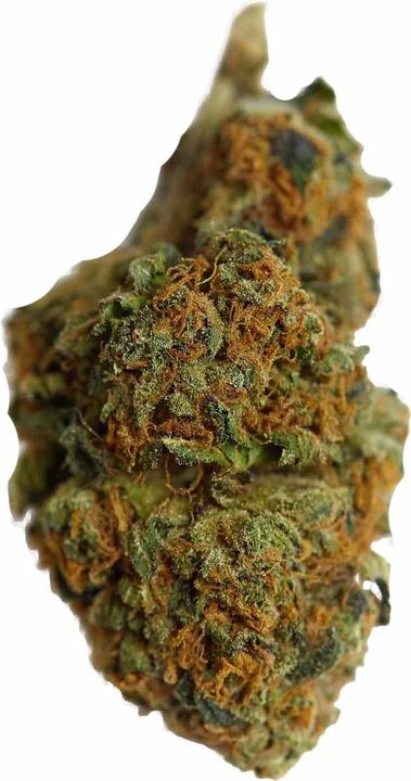 Actual product image Genuine Swiss Orange Bud (1 g, Indoor)