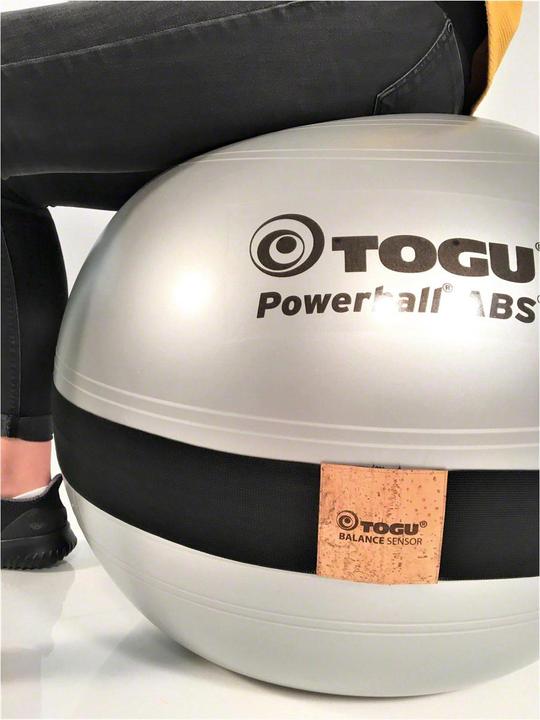 Actual product image Togu Balance Sensor Powerball, 55cm, silver (55 cm)