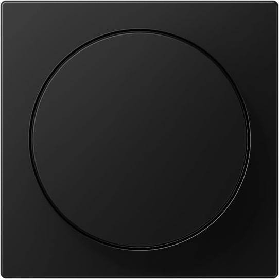 Actual product image JUNG Cover