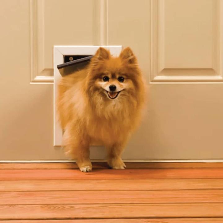 Actual product image PetSafe Katzenklappe (Manual cat flap)