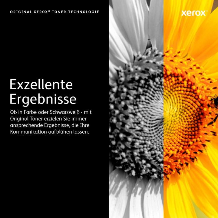 Actual product image Xerox 113r00721 (Y)
