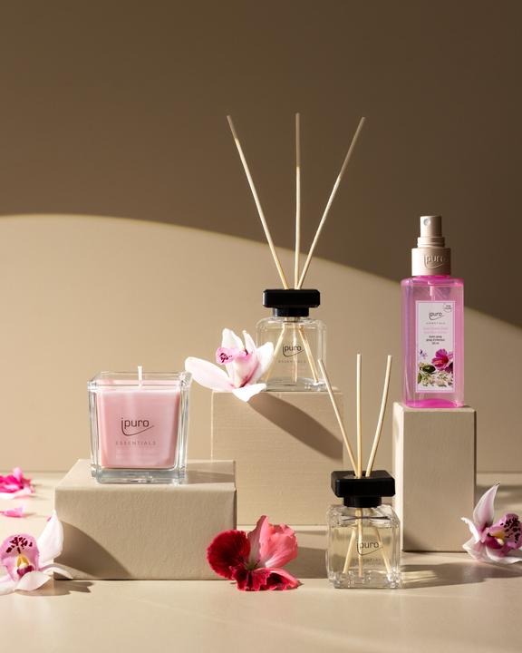 Immagine prodotto Ipuro Bastoncini profumati Fioriera 50 ml, Proprietà Consapevoli (50 ml)