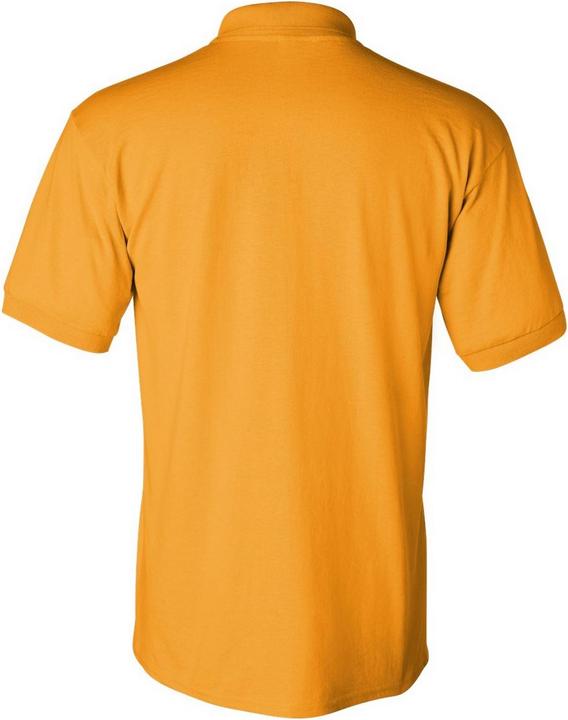 Actual product image Gildan DryBlend PoloShirt short sleeve (L)
