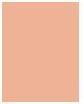 Immagine prodotto Maybelline New York Viso Studio City (250 Medio Caldo, Bronzer, 8 g)