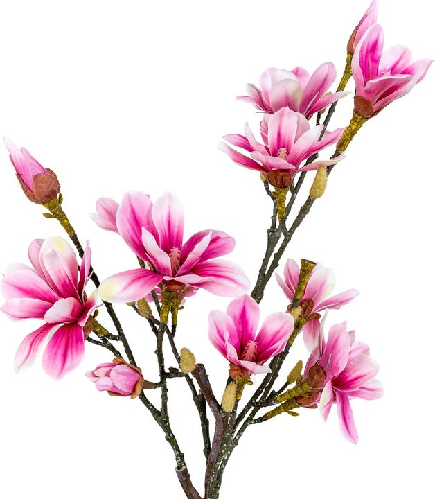 Actual product image House Nordic Magnolia (75 cm)