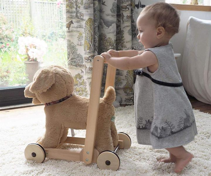 Immagine prodotto little bird told me Dexter Dog Push Along