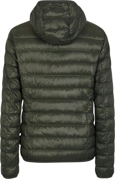 Produktbild Emporio Armani EA7 Jacke Core Identity Steppjacke mit Kapuzenkragen (XXL)