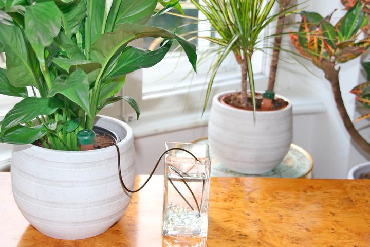 Produktbild Blumat Wasserspender (Tonkegel)