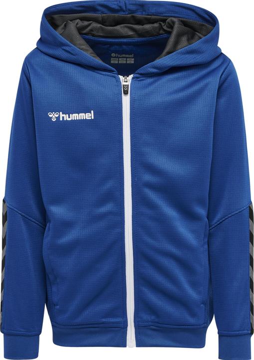 Actual product image hummel Authentic Kids Poly Zip Hoodie (176)