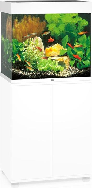 Image du produit Juwel Aquarium Lido (120 l)
