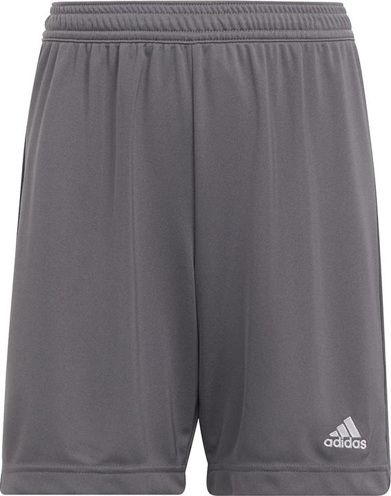 adidas Entrada 22 Shorts