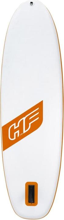 Actual product image Bestway Silas