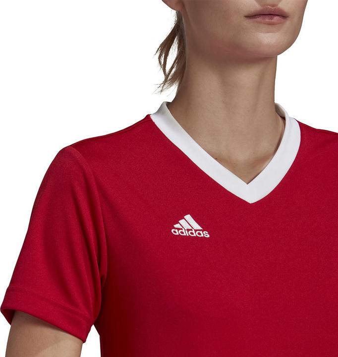 Actual product image adidas Entrada 22 Women's Football Shirt (S)