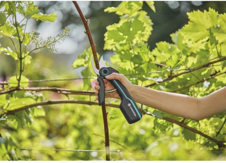 Actual product image Gardena AssistCut
