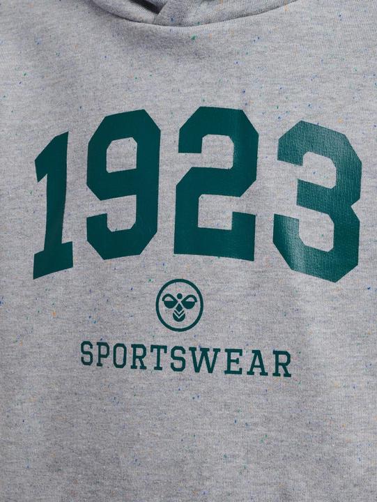 Produktbild hummel hmlNIPPS HOODIE (110)