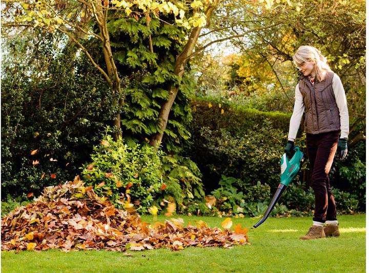Produktbild Bosch Home & Garden Alb 18 (Akkubetrieb, Laubbläser)