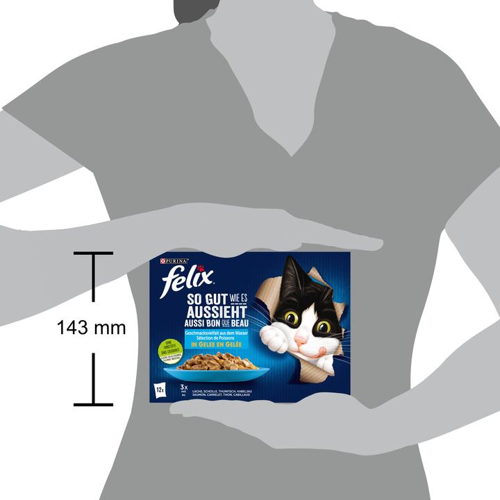 Actual product image Felix Agail fish (Adult, 11 pcs., 1020 g)