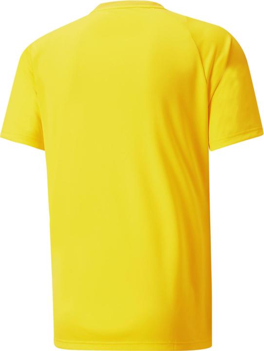 Immagine prodotto Puma teamVISION Jersey-704921 (S)