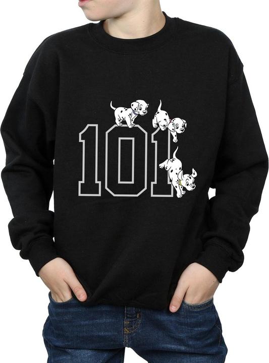 Immagine prodotto Disney 101 Dalmatians 101 Doggies Felpa Ragazzi (152, 158)