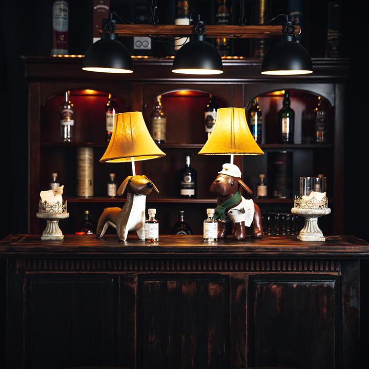 Actual product image Happy Lamps Waldi the dachshund (470 lm)