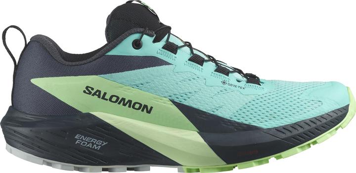 Salomon Sense Ride 5 GTX w Damen Trailrunningschuhe (38)