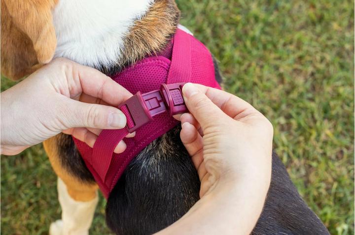 Actual product image Curli Harness Vest Air-Mesh XL, Black (XL, Dog, General)