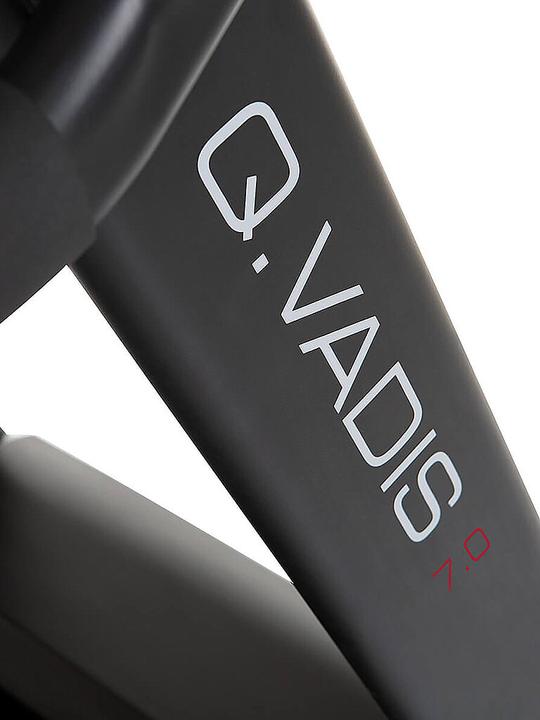 Produktbild Hammer Fitness Q. Vadis 7.0
