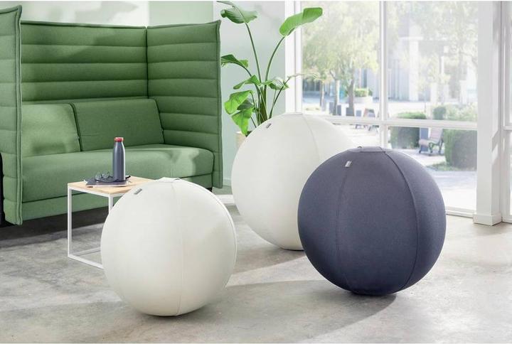 Produktbild Leitz Ergo Active Sitzball (75 cm)