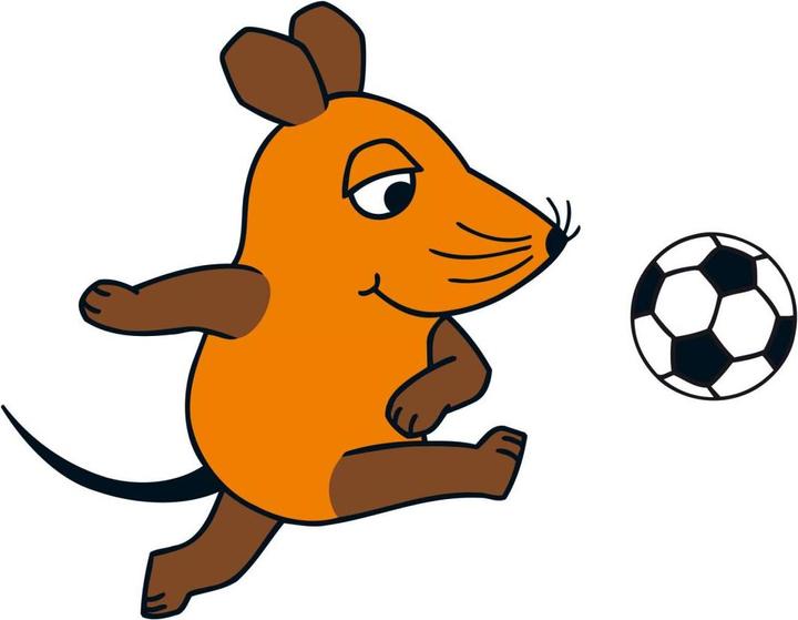 Actual product image plays football (140 x 110 cm)